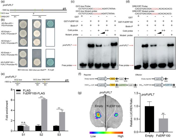 https://cdn.ncbi.nlm.nih.gov/pmc/blobs/461e/12205886/e9e26ea2c562/PBI-23-2611-g003.jpg
