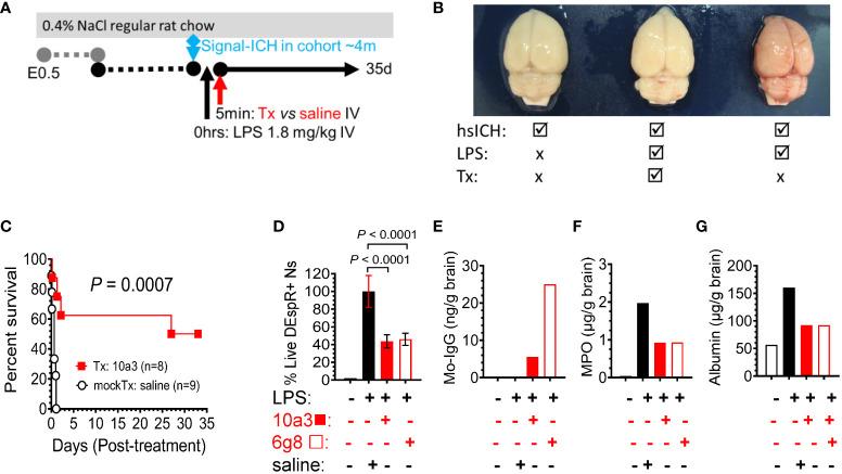 https://cdn.ncbi.nlm.nih.gov/pmc/blobs/461e/9581391/563e0adcf21b/fimmu-13-1008390-g004.jpg