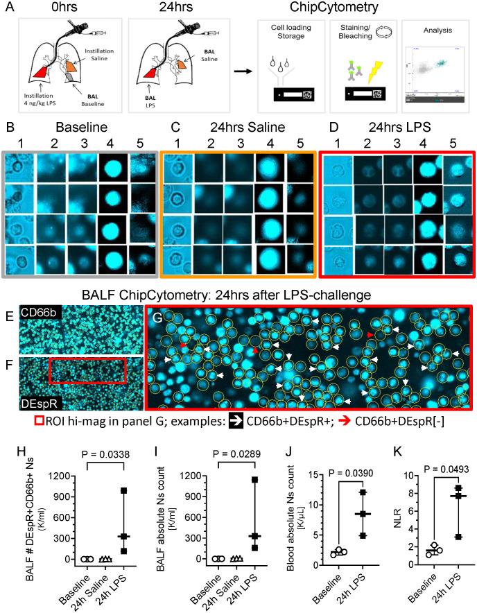 https://cdn.ncbi.nlm.nih.gov/pmc/blobs/461e/9581391/e09c454231af/fimmu-13-1008390-g001.jpg