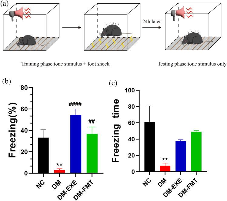 https://cdn.ncbi.nlm.nih.gov/pmc/blobs/461f/12227742/0467a3b24646/41598_2025_7220_Fig3_HTML.jpg
