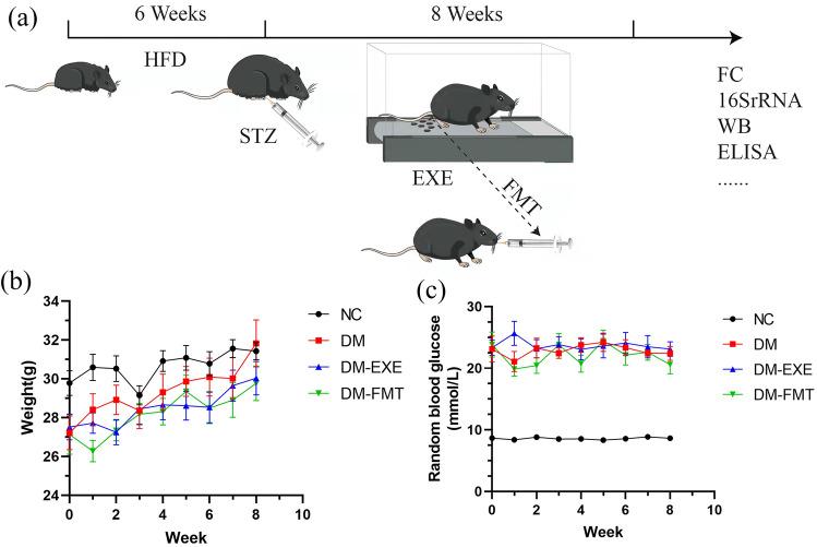 https://cdn.ncbi.nlm.nih.gov/pmc/blobs/461f/12227742/208f6480379d/41598_2025_7220_Fig1_HTML.jpg