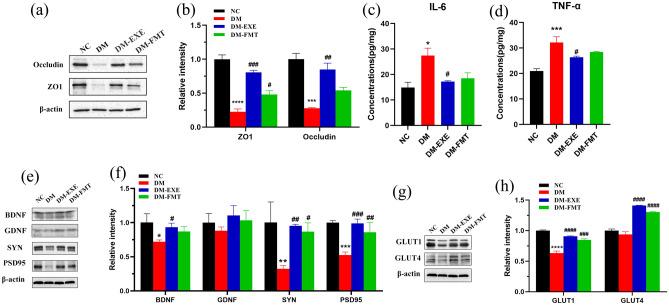 https://cdn.ncbi.nlm.nih.gov/pmc/blobs/461f/12227742/e37f49e4dc36/41598_2025_7220_Fig5_HTML.jpg