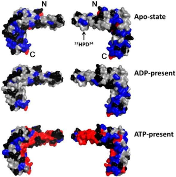 https://cdn.ncbi.nlm.nih.gov/pmc/blobs/461f/4140450/5eb63b1233f0/ja-2014-055252_0003.jpg