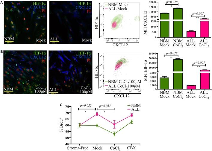 https://cdn.ncbi.nlm.nih.gov/pmc/blobs/461f/5216624/119aa0be8b8a/fimmu-07-00666-g005.jpg