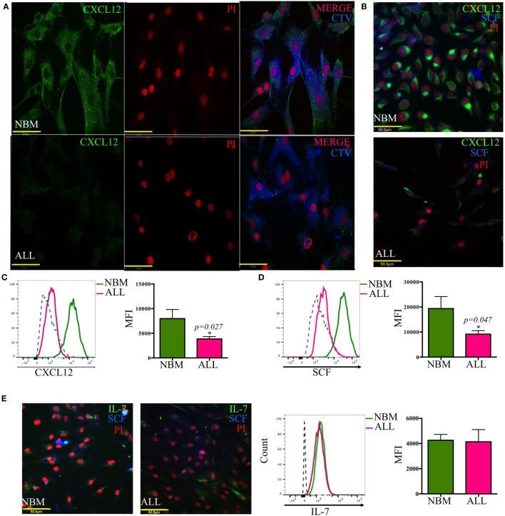 https://cdn.ncbi.nlm.nih.gov/pmc/blobs/461f/5216624/81fc8ba5dc31/fimmu-07-00666-g003.jpg