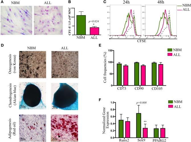 https://cdn.ncbi.nlm.nih.gov/pmc/blobs/461f/5216624/c4ecbc9de83d/fimmu-07-00666-g001.jpg