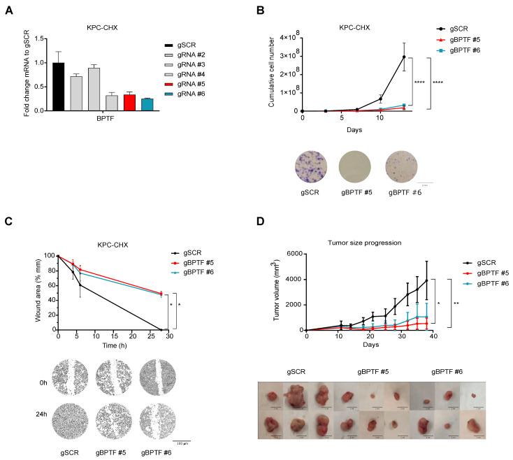 https://cdn.ncbi.nlm.nih.gov/pmc/blobs/4620/8946837/34033ede614b/cancers-14-01518-g001.jpg