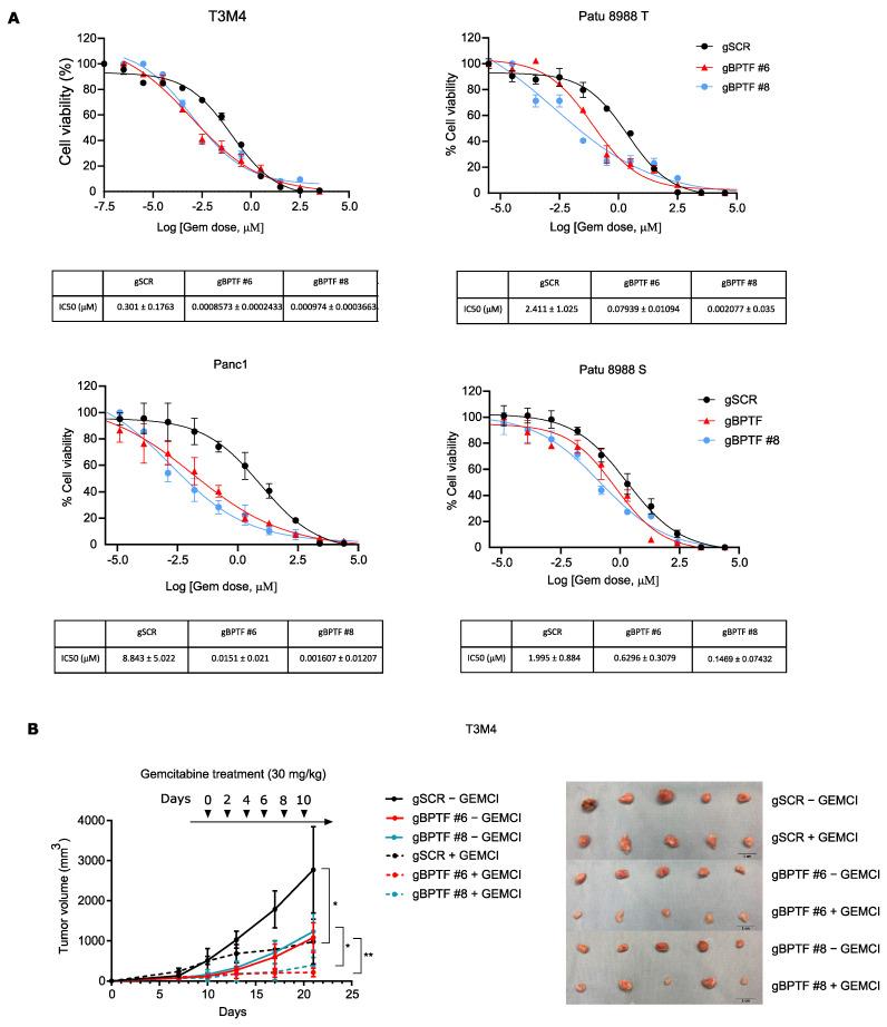 https://cdn.ncbi.nlm.nih.gov/pmc/blobs/4620/8946837/76b78b7b822e/cancers-14-01518-g004.jpg