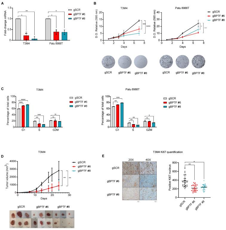https://cdn.ncbi.nlm.nih.gov/pmc/blobs/4620/8946837/87008087e9f9/cancers-14-01518-g002.jpg