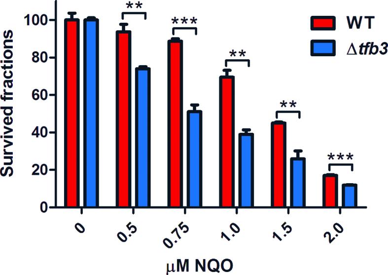 https://cdn.ncbi.nlm.nih.gov/pmc/blobs/4622/6101594/fa96b5b78465/gky236fig3.jpg
