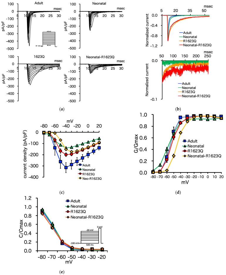https://cdn.ncbi.nlm.nih.gov/pmc/blobs/4623/8533193/8fc72f288d8e/biology-10-01062-g005a.jpg