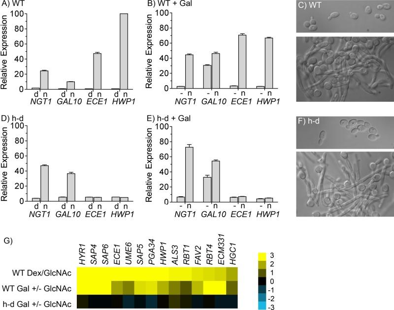 https://cdn.ncbi.nlm.nih.gov/pmc/blobs/4628/4357515/a83525dbd7de/1174fig3.jpg