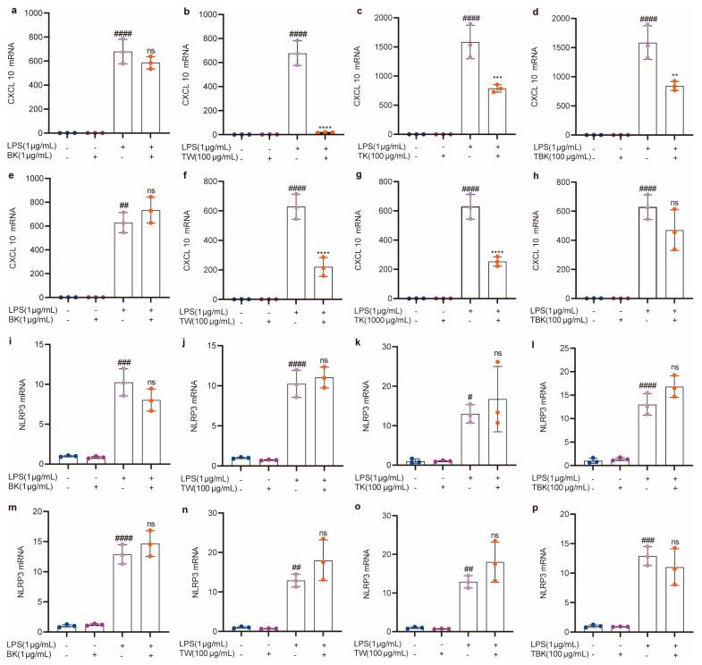 https://cdn.ncbi.nlm.nih.gov/pmc/blobs/4629/10530541/905cd914a185/ijms-24-13984-g006.jpg