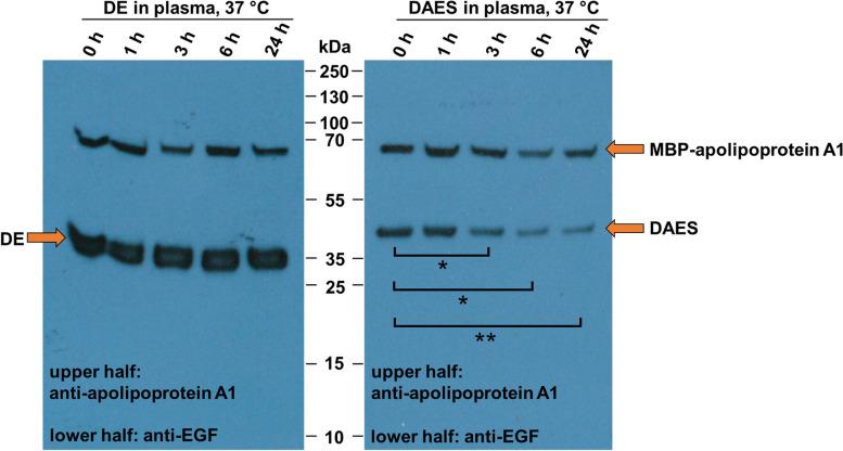 https://cdn.ncbi.nlm.nih.gov/pmc/blobs/4629/11057116/33221858c557/12896_2024_854_Fig6_HTML.jpg
