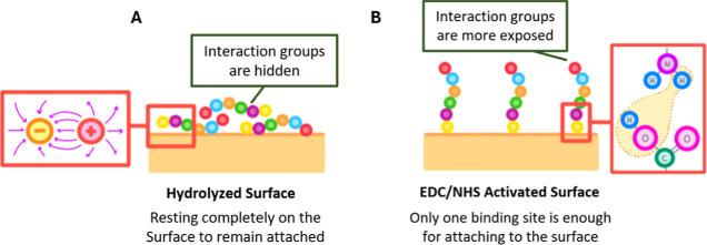https://cdn.ncbi.nlm.nih.gov/pmc/blobs/4629/12123575/5ca8d4250114/am4c17706_0005.jpg