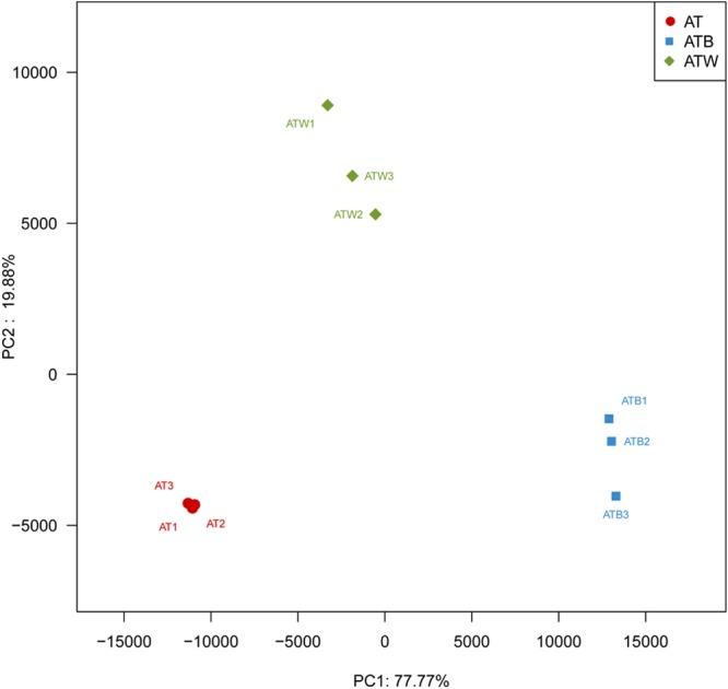 https://cdn.ncbi.nlm.nih.gov/pmc/blobs/4629/6363660/d60e5a59dc0e/fmicb-10-00088-g002.jpg