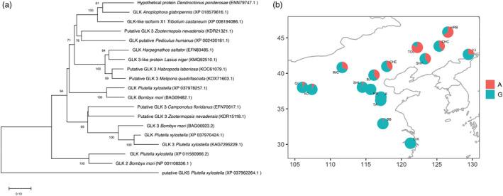 https://cdn.ncbi.nlm.nih.gov/pmc/blobs/462a/9234632/d6570e2e90ea/EVA-15-934-g007.jpg