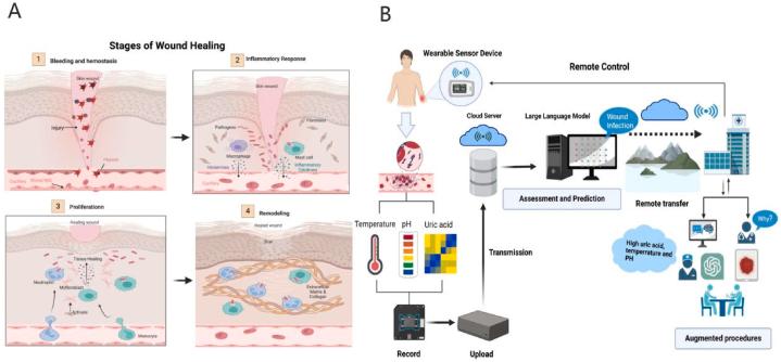 https://cdn.ncbi.nlm.nih.gov/pmc/blobs/462d/11541681/46fb7cc62085/gr12.jpg