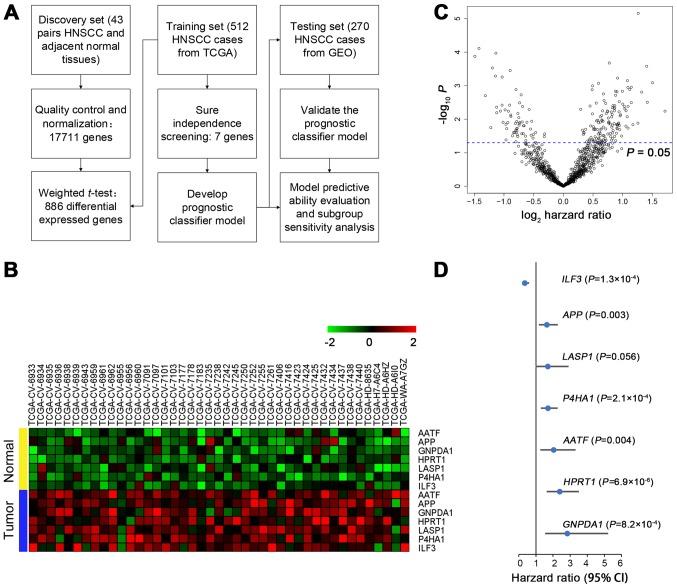 https://cdn.ncbi.nlm.nih.gov/pmc/blobs/4630/5783586/722d27b33eef/OR-38-06-3403-g01.jpg