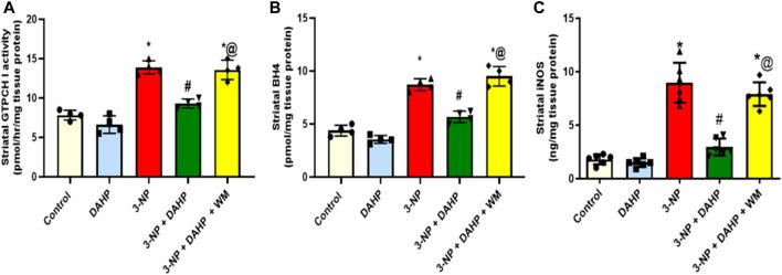 https://cdn.ncbi.nlm.nih.gov/pmc/blobs/4630/8727546/f5a0f532c63b/fphar-12-740966-g002.jpg