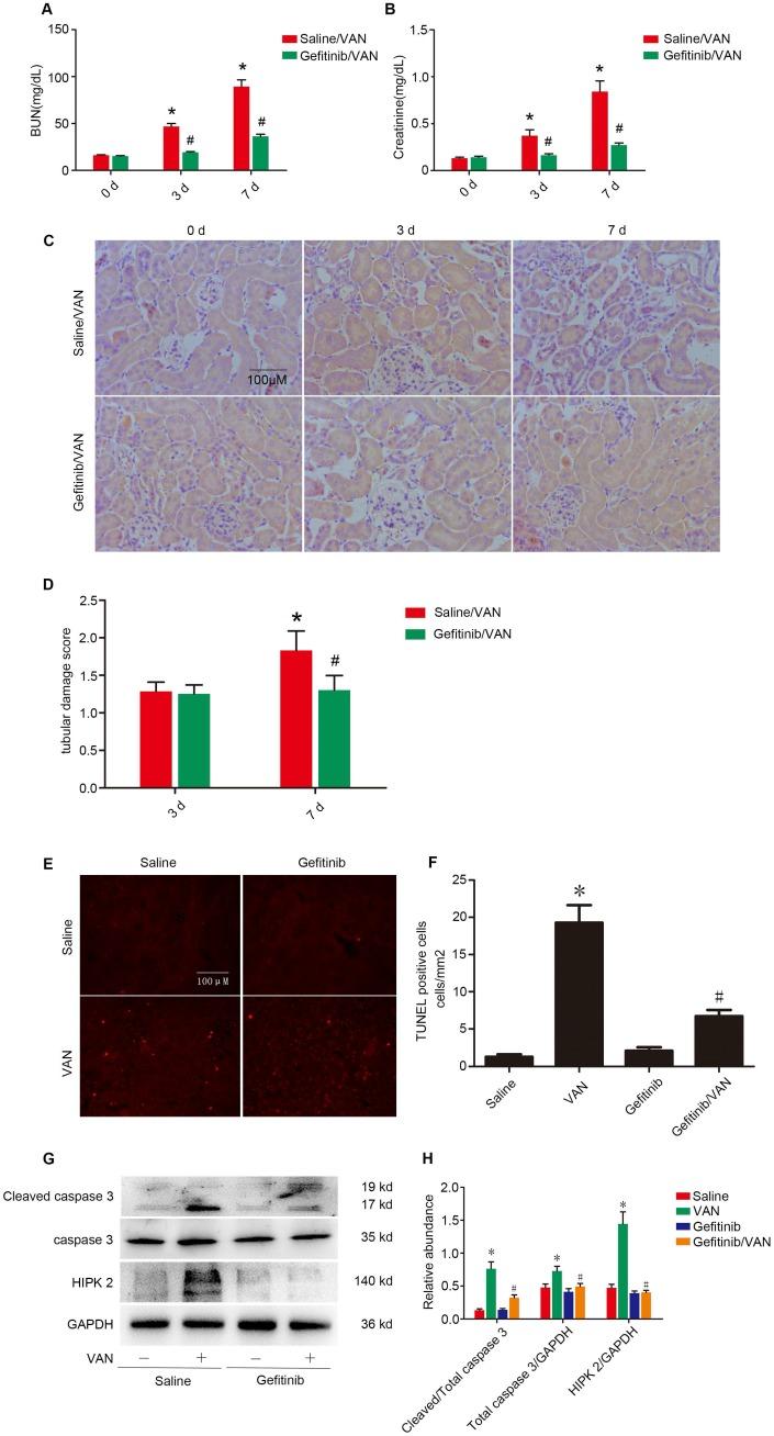 https://cdn.ncbi.nlm.nih.gov/pmc/blobs/4631/6526000/037351befe84/thnov09p2712g008.jpg
