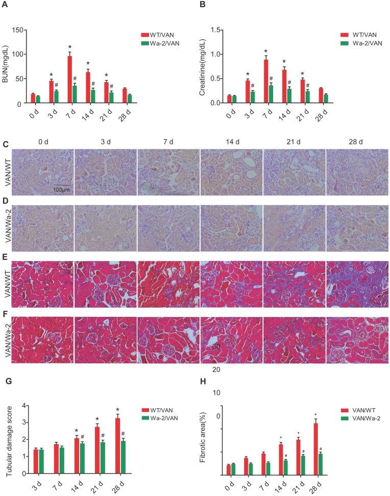 https://cdn.ncbi.nlm.nih.gov/pmc/blobs/4631/6526000/39c95b2ff454/thnov09p2712g003.jpg