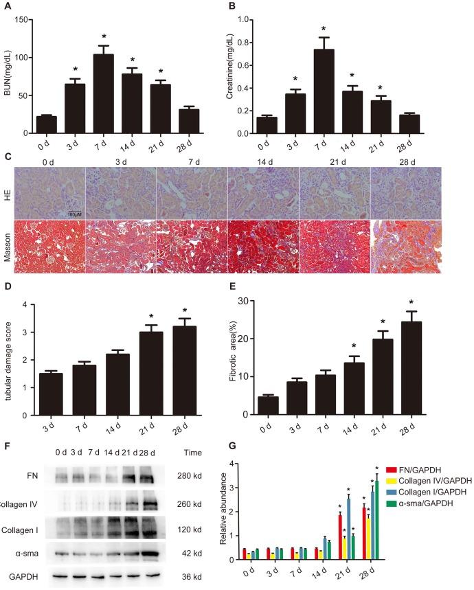 https://cdn.ncbi.nlm.nih.gov/pmc/blobs/4631/6526000/b5b1886b73bf/thnov09p2712g001.jpg