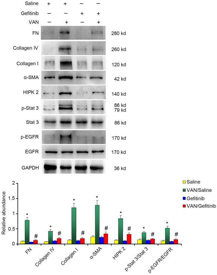 https://cdn.ncbi.nlm.nih.gov/pmc/blobs/4631/6526000/f98e84b42b71/thnov09p2712g010.jpg
