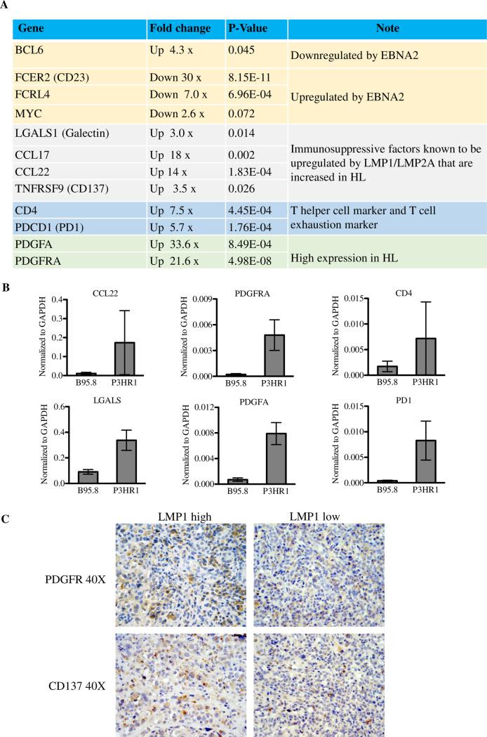 https://cdn.ncbi.nlm.nih.gov/pmc/blobs/4631/7316346/744ed1d4c7a2/ppat.1008590.g010.jpg
