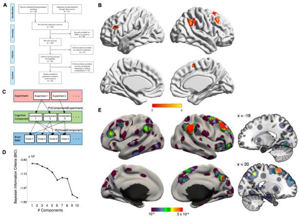 https://cdn.ncbi.nlm.nih.gov/pmc/blobs/4632/9313188/a5fdd77ce2c6/biomedicines-10-01555-g001.jpg