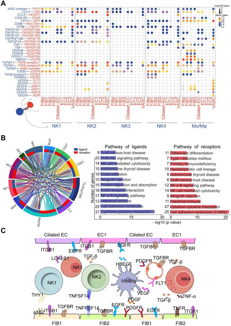 https://cdn.ncbi.nlm.nih.gov/pmc/blobs/4632/9516226/4b41d988973b/thnov12p6527g008.jpg