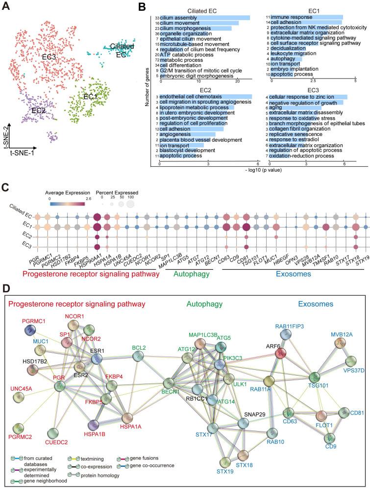 https://cdn.ncbi.nlm.nih.gov/pmc/blobs/4632/9516226/f28da3352fd9/thnov12p6527g004.jpg