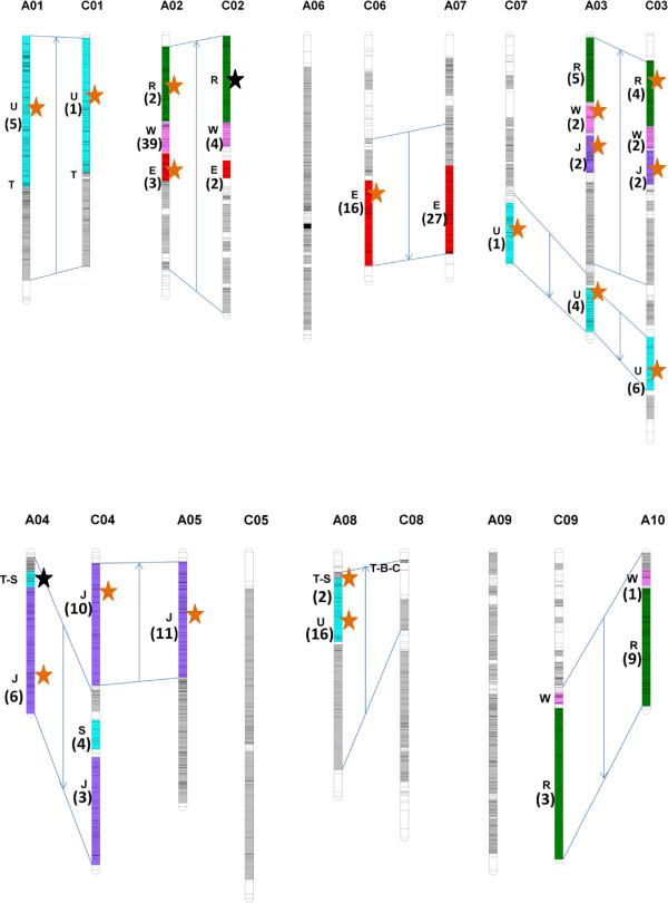 https://cdn.ncbi.nlm.nih.gov/pmc/blobs/4633/4082613/6b810f42851b/12864_2013_6190_Fig4_HTML.jpg