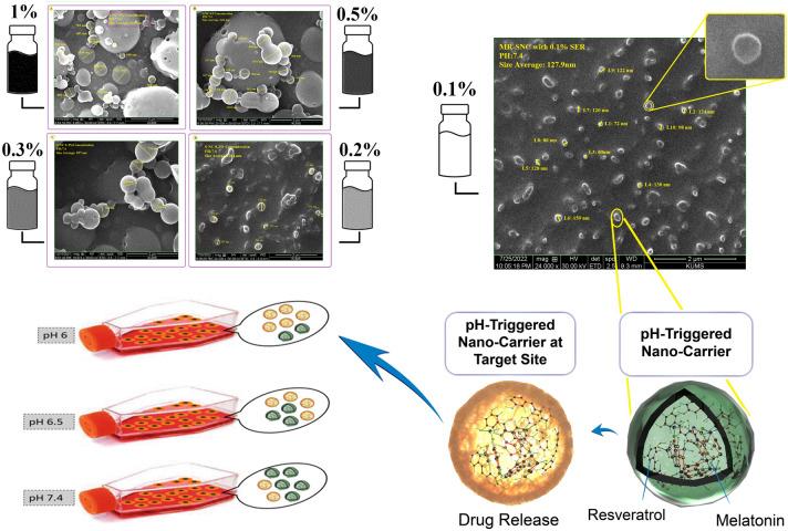 https://cdn.ncbi.nlm.nih.gov/pmc/blobs/4634/10329705/1f1bee2c73e0/41598_2023_37668_Fig10_HTML.jpg
