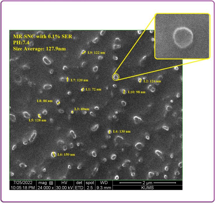 https://cdn.ncbi.nlm.nih.gov/pmc/blobs/4634/10329705/2b88aecf9945/41598_2023_37668_Fig3_HTML.jpg