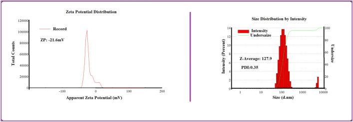 https://cdn.ncbi.nlm.nih.gov/pmc/blobs/4634/10329705/59cc3b3ed462/41598_2023_37668_Fig4_HTML.jpg