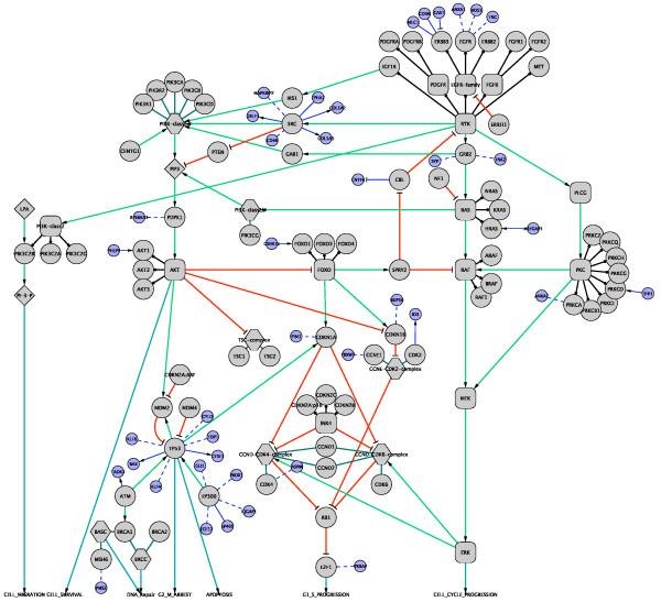 https://cdn.ncbi.nlm.nih.gov/pmc/blobs/4635/2898064/09b4463ad66a/gb-2010-11-5-r53-3.jpg