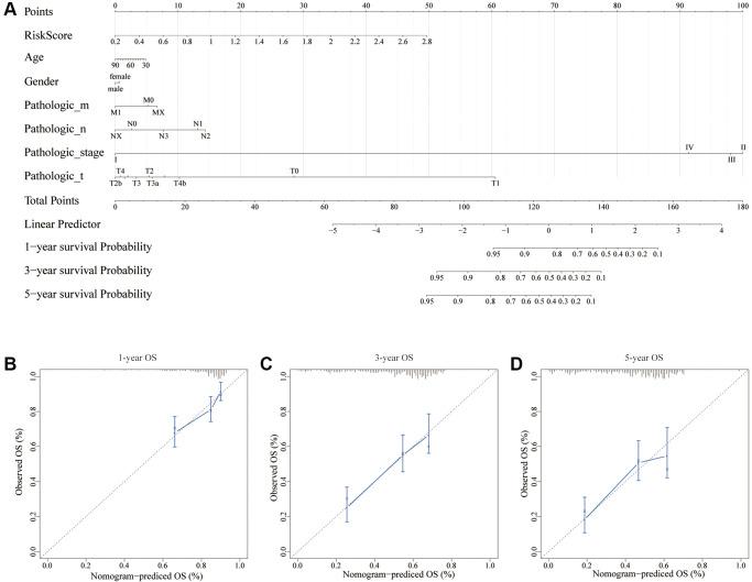 https://cdn.ncbi.nlm.nih.gov/pmc/blobs/4635/9740359/44bb33e9603d/aging-14-204385-g004.jpg