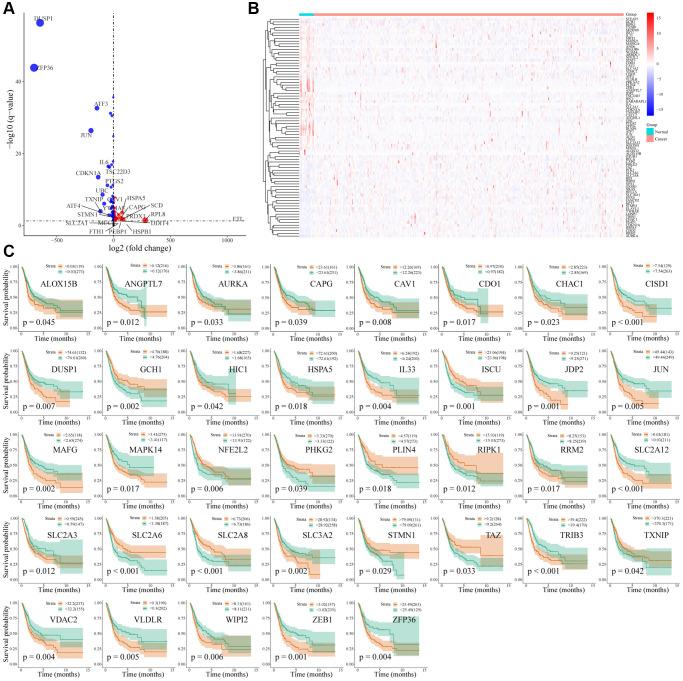 https://cdn.ncbi.nlm.nih.gov/pmc/blobs/4635/9740359/4c2f998c8137/aging-14-204385-g001.jpg