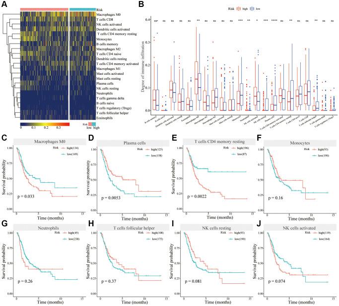 https://cdn.ncbi.nlm.nih.gov/pmc/blobs/4635/9740359/5f574f0012e8/aging-14-204385-g006.jpg