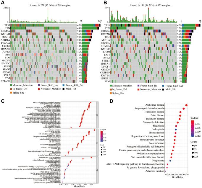 https://cdn.ncbi.nlm.nih.gov/pmc/blobs/4635/9740359/606231362e45/aging-14-204385-g005.jpg