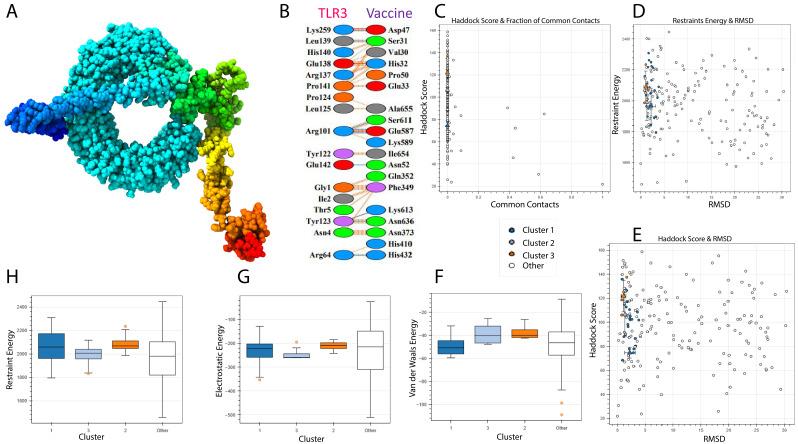 https://cdn.ncbi.nlm.nih.gov/pmc/blobs/4639/12279721/da19528cc989/fimmu-16-1587224-g008.jpg