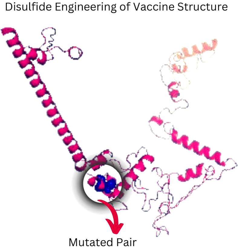 https://cdn.ncbi.nlm.nih.gov/pmc/blobs/4639/12279721/f56a522bc2c8/fimmu-16-1587224-g006.jpg