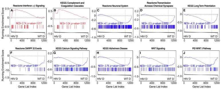 https://cdn.ncbi.nlm.nih.gov/pmc/blobs/4639/9030762/66bdc56af745/viruses-14-00669-g005.jpg