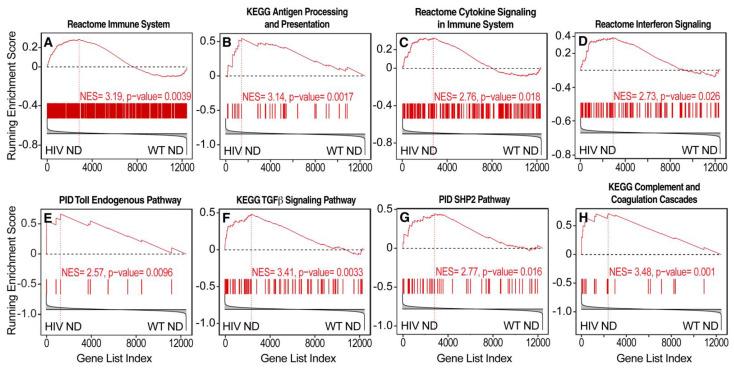 https://cdn.ncbi.nlm.nih.gov/pmc/blobs/4639/9030762/742a4a6e6b89/viruses-14-00669-g004.jpg