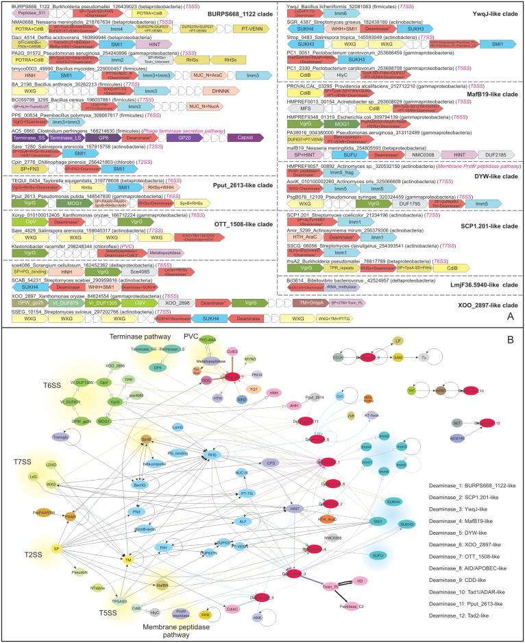 https://cdn.ncbi.nlm.nih.gov/pmc/blobs/463b/3239186/6a9dd8dc24b5/gkr691f5.jpg