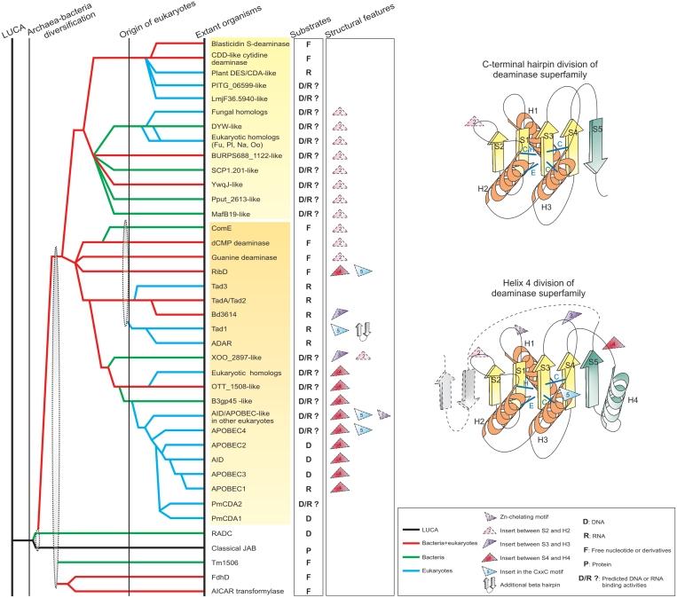 https://cdn.ncbi.nlm.nih.gov/pmc/blobs/463b/3239186/84afdda54231/gkr691f2.jpg