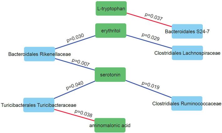 https://cdn.ncbi.nlm.nih.gov/pmc/blobs/463b/6813214/62096946495e/fmolb-06-00108-g0006.jpg