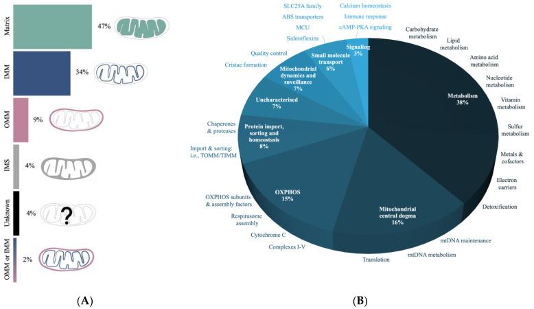 https://cdn.ncbi.nlm.nih.gov/pmc/blobs/463c/10669788/585b8b250647/biomolecules-13-01638-g005.jpg
