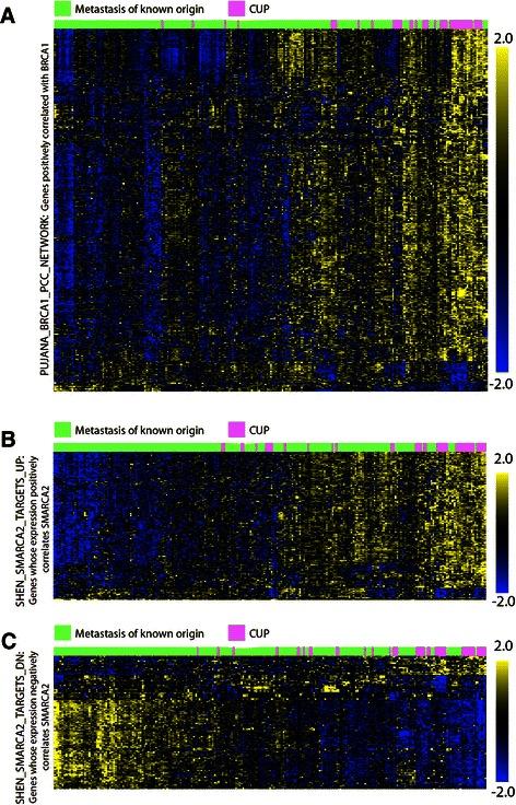 https://cdn.ncbi.nlm.nih.gov/pmc/blobs/463c/4404593/fc4220cc9c62/12885_2015_1128_Fig4_HTML.jpg